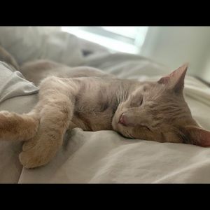 Meet your Posher, Tarah